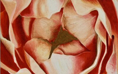 Looking Beyond Normal