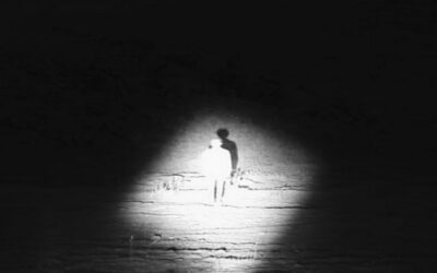 LGBQT+ Inclusivity in biomedical research