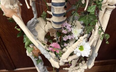 Bone to Stone
