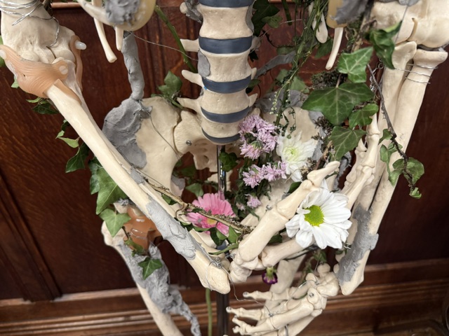 Bone to Stone